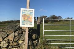 Tottlebank-New-Signpost